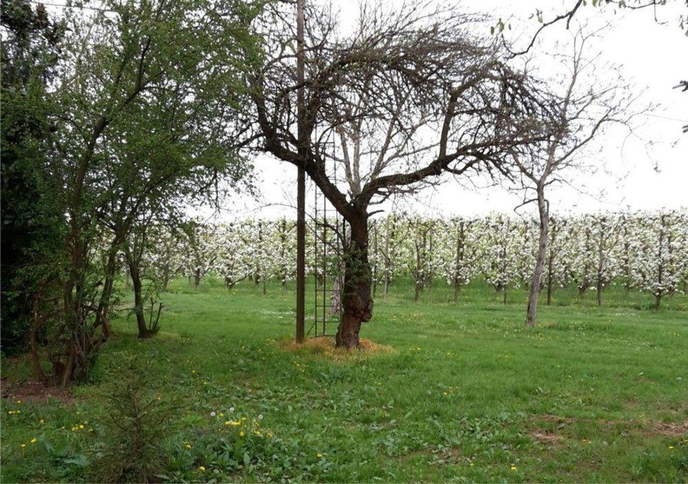 Agriturismo Dosso Al Porto Villa Rolo Buitenkant foto