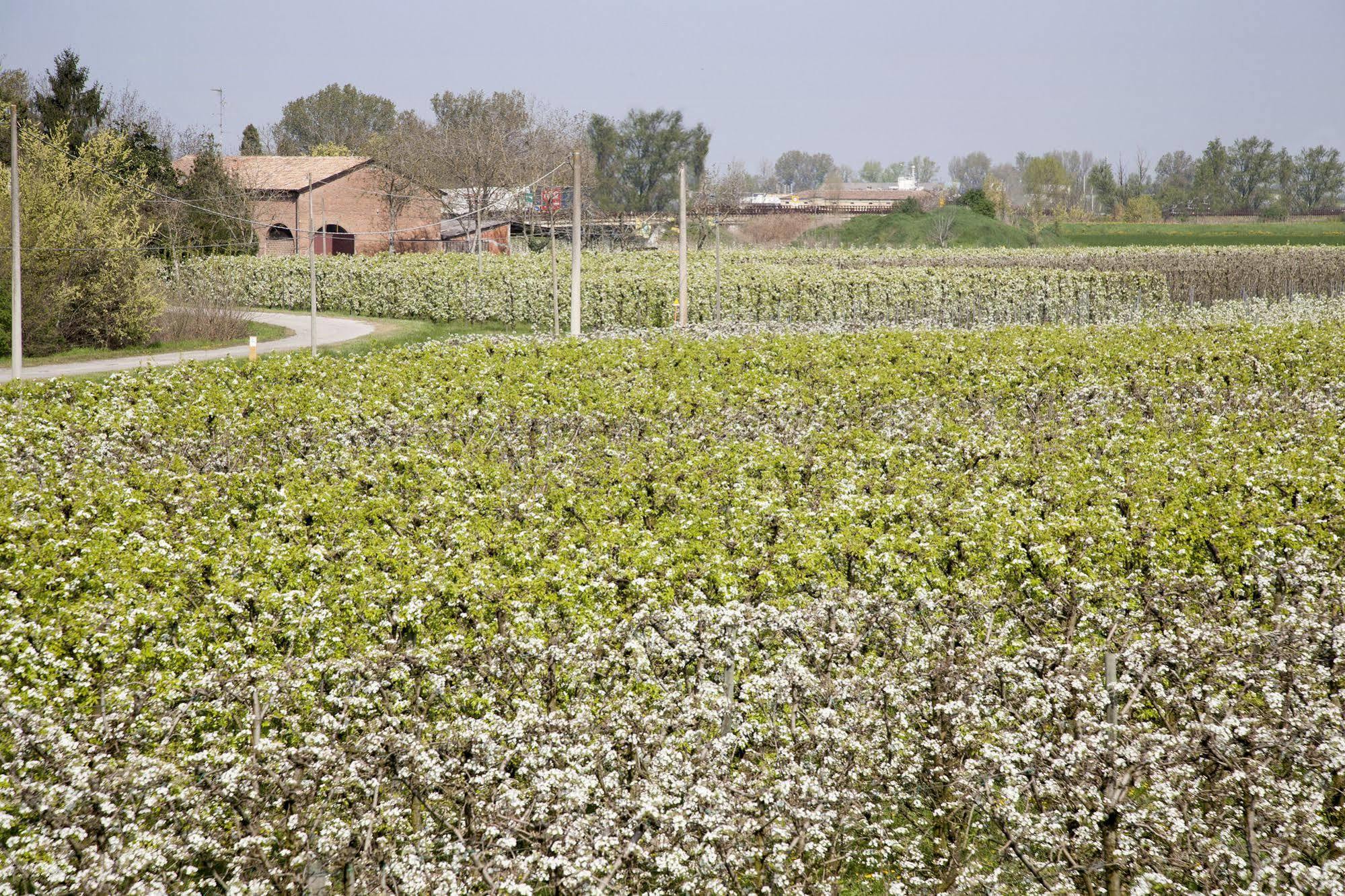 Agriturismo Dosso Al Porto Villa Rolo Buitenkant foto